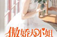 小姐姐 txt,揭秘网络红人的魅力与影响力