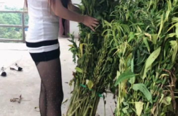 干活的小姐姐最漂亮,干活小姐姐的迷人风采